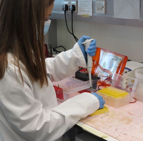 Cancer researcher Dr Giusi Camiolo in Professor Katrin Ottersbach's lab