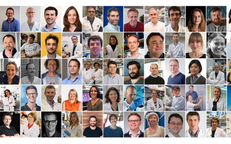 Collage of Worldwide Cancer Research researchers