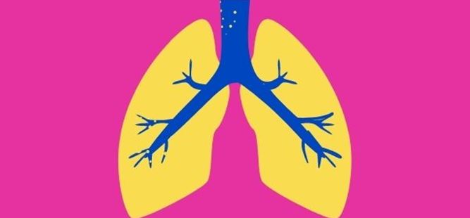 Cartoon of lungs in yellow and blue on a pink background