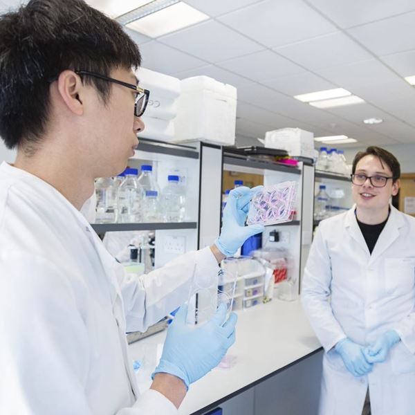 two scientists in the lab discussing results on a cell culture plate