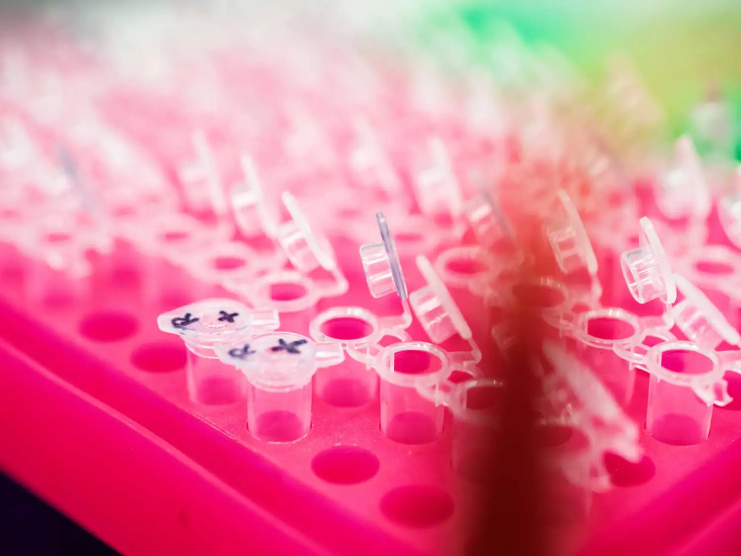7 Incredible Medical Breakthroughs | Worldwide Cancer Research