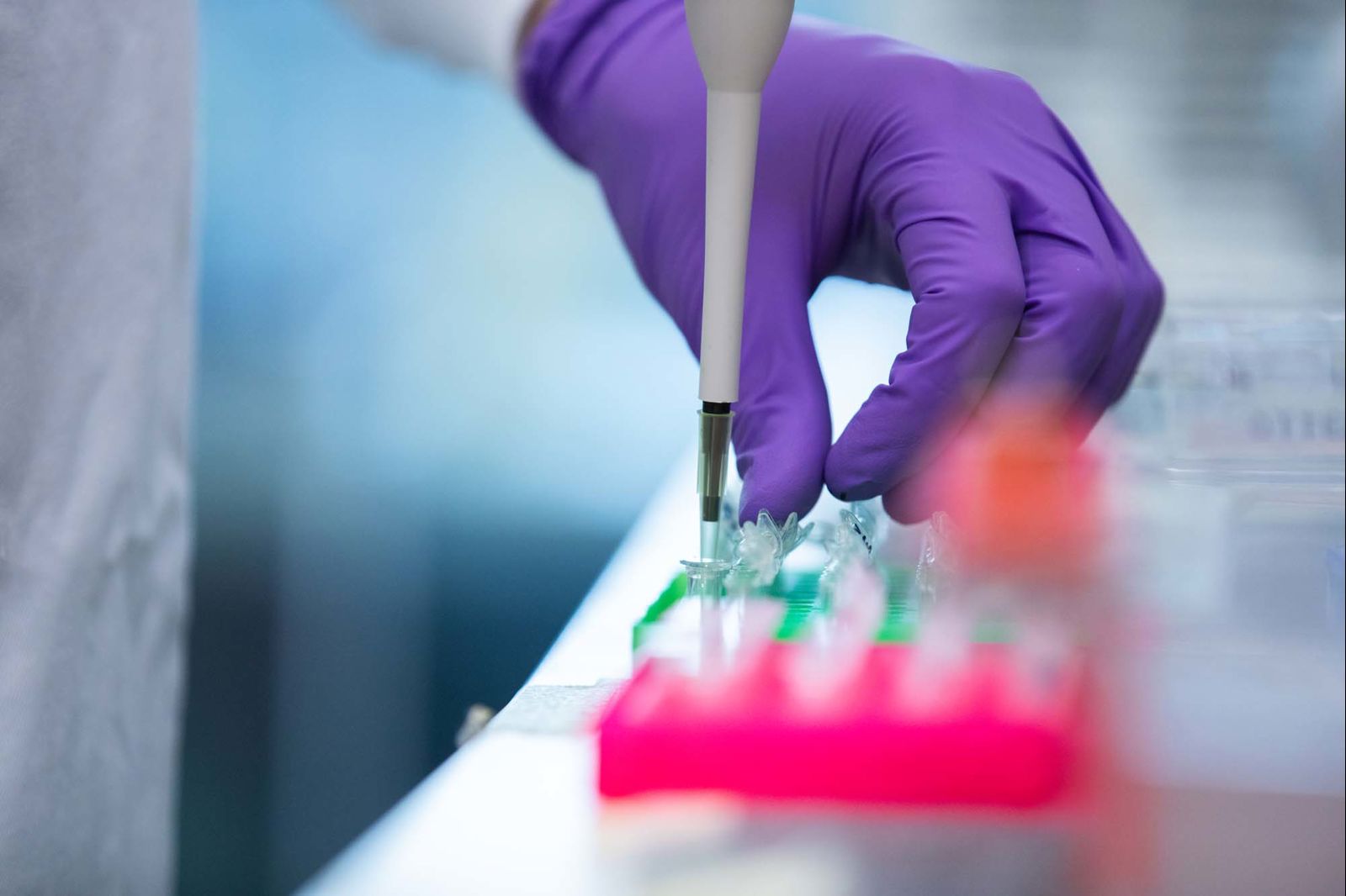 accelerate labs semaglutide reddit Novo Nordisk Canada Moves to Keep Ozempic Affordable for Some Uninsured Patients Compounded GLP-1 weight loss drugs
